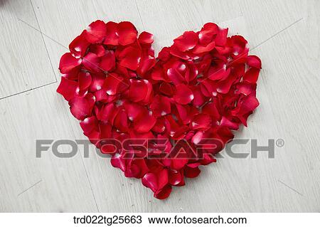 Drawing - rose petals in heart shaped. Fotosearch