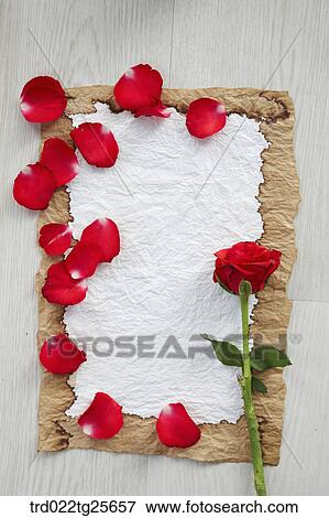 rose petals memo pad View Large Illustration Stock Illustration - rose petals memo pad. Fotosearch