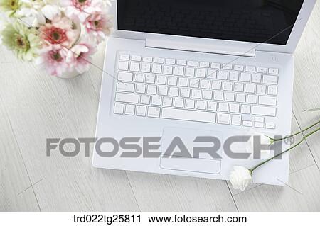 Clip Art - roses and laptop. Fotosearch