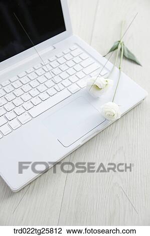Drawing - roses and laptop. Fotosearch