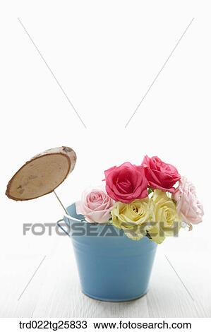 roses in bucket View Large Illustration Drawing - roses in bucket. Fotosearch