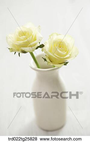 roses in vase View Large Illustration Stock Illustration - roses in vase. Fotosearch