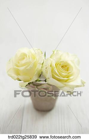 Stock Illustration - yellow roses in a flower pot. Fotosearch