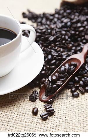coffee and roasted beans with spoon View Large Illustration Stock Illustration - coffee and roasted beans with spoon. Fotosearch