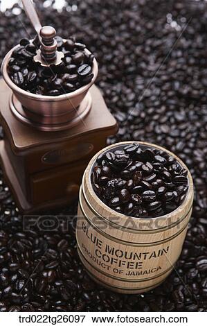 grinder and roasted coffee beans View Large Illustration Stock Illustration - grinder and roasted coffee beans. Fotosearch
