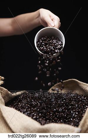 Stock Illustration - pouring roasted coffee beans into sack. Fotosearch
