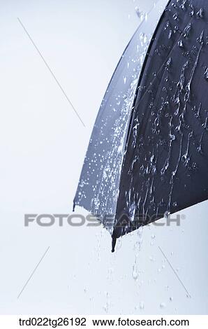 rain drops fallen from the umbrella View Large Illustration Drawing - rain drops fallen from the umbrella. Fotosearch