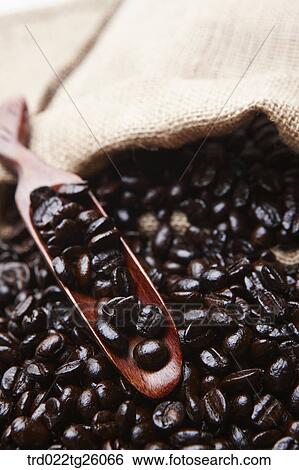 roasted beans with spoon View Large Illustration Stock Illustration - roasted beans with spoon. Fotosearch