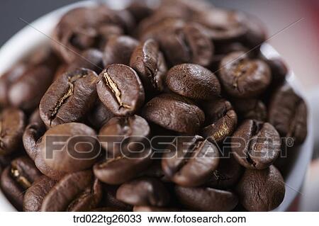 Drawing - roasted coffee beans. Fotosearch