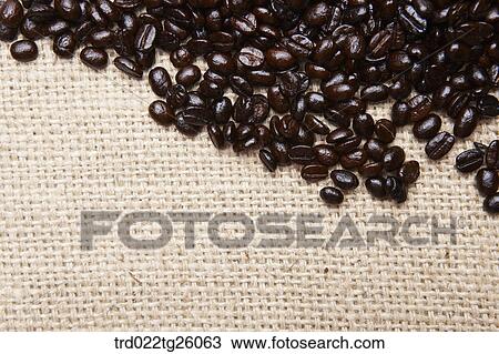 Drawing - roasted coffee beans. Fotosearch