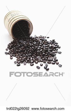 roasted coffee beans poured out from the container View Large Illustration Drawing - roasted coffee beans poured out from the container. Fotosearch