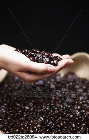 Stock Illustration - roasted coffee beans putting on hands. Fotosearch