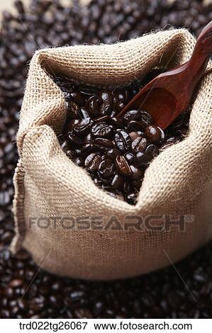 roasted coffee beans with sack and spoon View Large Illustration Stock Illustration - roasted coffee beans with sack and spoon. Fotosearch