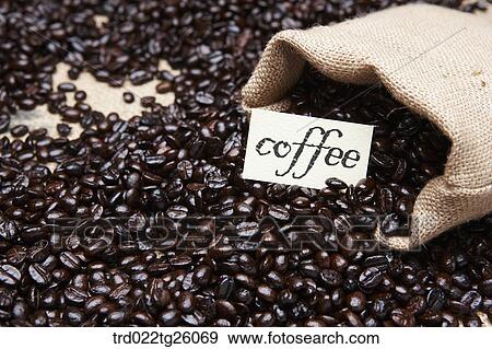 roasted coffee beans with sack View Large Illustration Stock Illustration - roasted coffee beans with sack. Fotosearch
