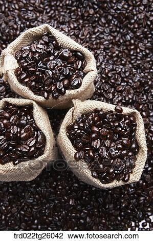 Drawing - sack is filled with roasted coffee beans. Fotosearch