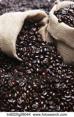 sack is filled with roasted coffee beans View Large Illustration Stock Illustration - sack is filled with roasted coffee beans. Fotosearch
