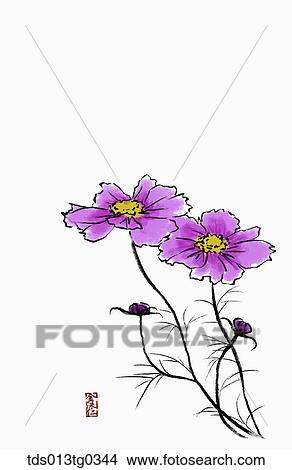 Stock Illustration - Cosmos in ink painting. Fotosearch
