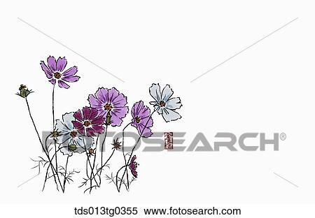 Stock Illustration - Cosmos in ink painting. Fotosearch