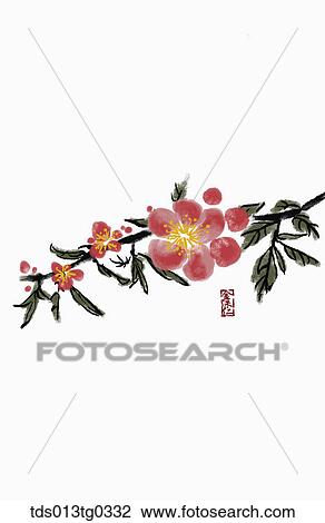 Japanese Apricot Tree in ink painting View Large Illustration Drawing - Japanese Apricot Tree in ink painting. Fotosearch