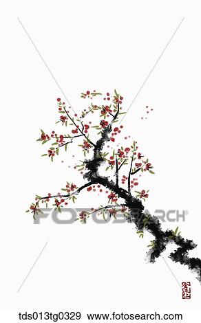 Stock Illustration - Japanese Apricot Tree in ink painting. Fotosearch