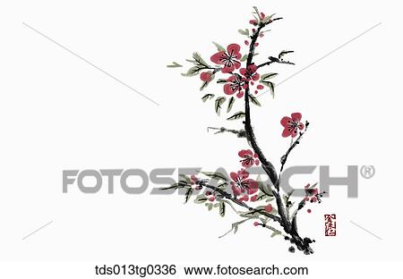 Japanese Apricot Tree in ink painting View Large Illustration Stock Illustration - Japanese Apricot Tree in ink painting. Fotosearch