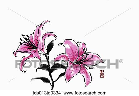 Lily in ink painting View Large Illustration Stock Illustration - Lily in ink painting. Fotosearch