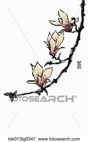 Stock Illustration - Magnolia in ink painting. Fotosearch