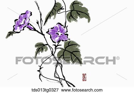 morning glory in ink painting View Large Illustration Stock Illustration - morning glory in ink painting. Fotosearch
