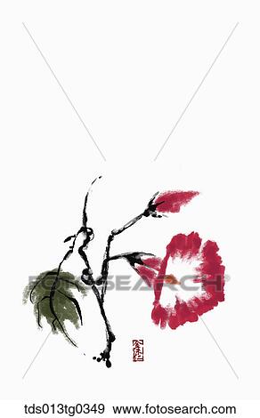 Stock Illustration - morning glory in ink painting. Fotosearch