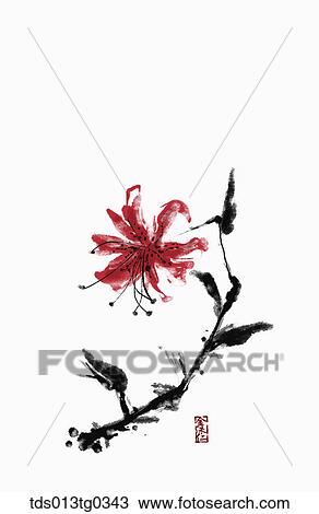 Drawing - Orange colored flower in ink painting. Fotosearch