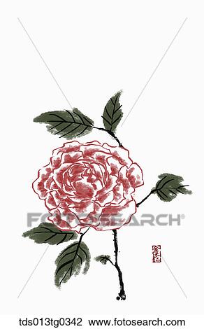 Rose in ink painting View Large Illustration Drawing - Rose in ink painting. Fotosearch