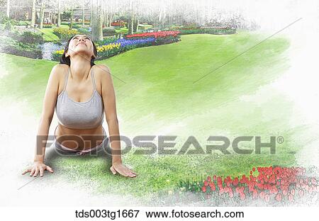 woman exercising yoga View Large Illustration Stock Illustration - woman exercising yoga. Fotosearch