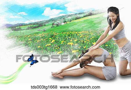 women exercising yoga together View Large Illustration Stock Illustration - women exercising yoga together. Fotosearch