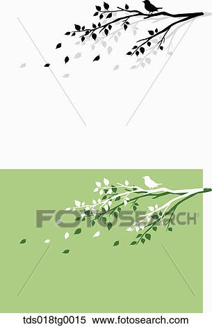 Stock Illustration - bird and branch illust background. Fotosearch