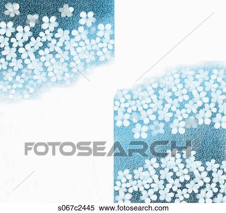 Stock Photography - brochure design with flower blossoms. Fotosearch