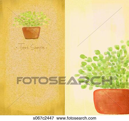 brochure design with flower pots View Large Photo Image Stock Photo - brochure design with flower pots. Fotosearch