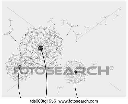 dandelion illustration View Large Photo Image Stock Photograph - dandelion illustration. Fotosearch