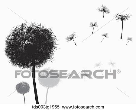 Stock Photography - dandelion illustration. Fotosearch