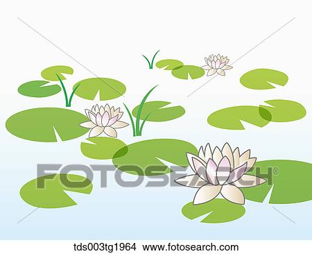 lotus flowers illustration View Large Photo Image Picture - lotus flowers illustration. Fotosearch