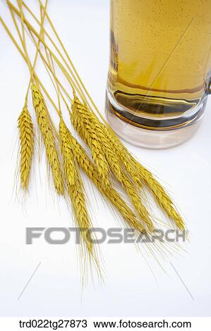 draft beer with foams View Large Photo Image Stock Image - draft beer with foams. Fotosearch