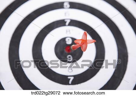focus on aim View Large Photo Image Stock Image - focus on aim. Fotosearch