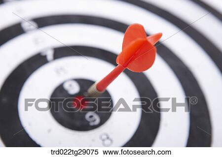 focus on aim View Large Photo Image Stock Photography - focus on aim. Fotosearch