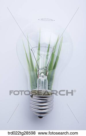 green and eco friendly concept View Large Photo Image Stock Photo - green and eco friendly concept. Fotosearch