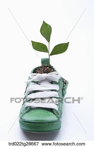 green and eco friendly concept View Large Photo Image Stock Photo - green and eco friendly concept. Fotosearch