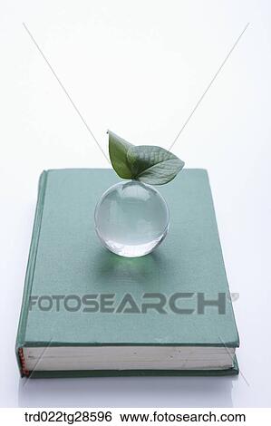 Stock Photograph - green and eco friendly concept. Fotosearch