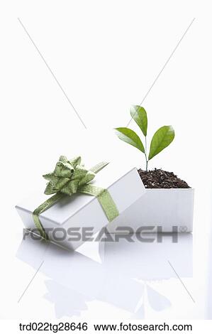 green and eco friendly concept View Large Photo Image Stock Photograph - green and eco friendly concept. Fotosearch