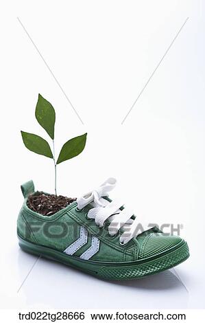 green and eco friendly concept View Large Photo Image Stock Photograph - green and eco friendly concept. Fotosearch