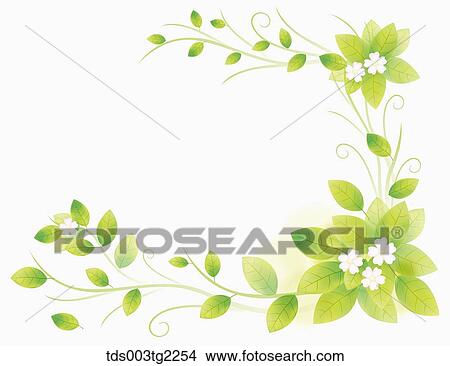 varioust types of botanical frames View Large Illustration Stock Illustration - varioust types of botanical frames. Fotosearch