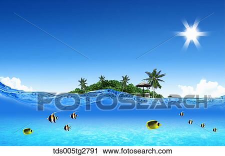 Clip Art - fishes swimming in summer beach. Fotosearch