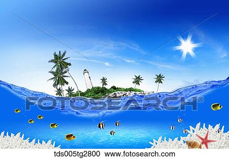 fishes swimming in summer beach View Large Illustration Clipart - fishes swimming in summer beach. Fotosearch